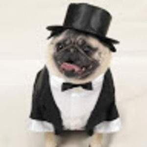 Meet your Posher, Suvi